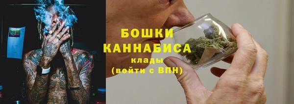 индика Нефтегорск