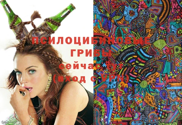 сатива Новокубанск