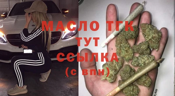 сатива Новокубанск