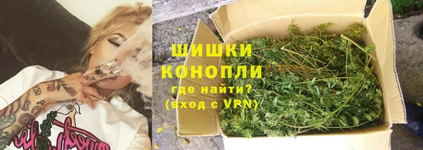 индика Нефтегорск