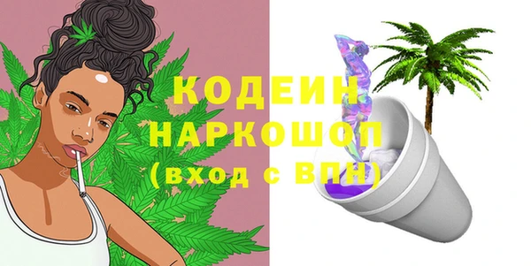 индика Нефтегорск