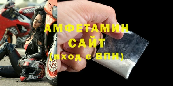 сатива Новокубанск