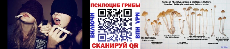Галлюциногенные грибы мухоморы  купить наркотики сайты  Киржач 