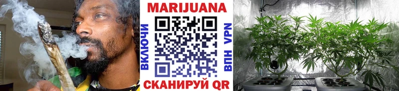 Бошки Шишки семена Киржач
